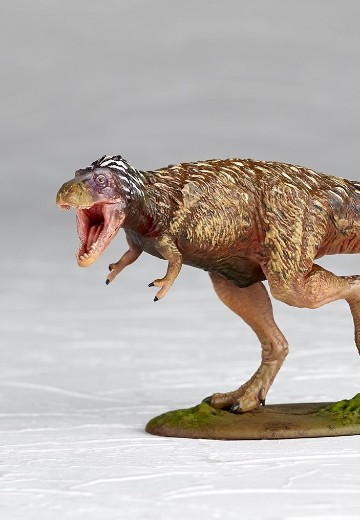 ARTPLA 霸王龙 幼年期 | Hpoi手办维基