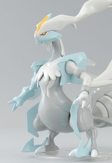 宝可梦拼装模型 No.28 特选系列 焰白酋雷姆 | Hpoi手办维基