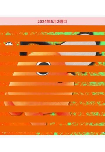 链锯人 动画版  特大号软弹布偶 波奇塔