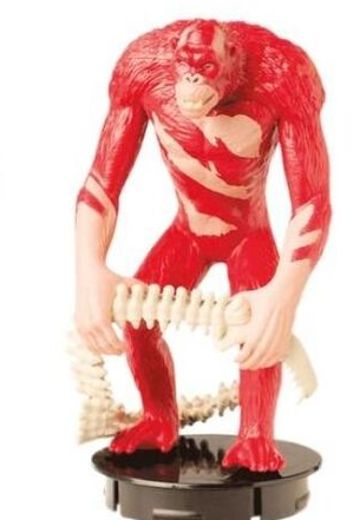 GxK电影院商品 哥斯拉大战金刚2:帝国崛起 刀疤王 | Hpoi手办维基