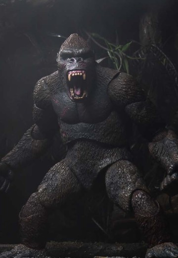 金刚 可动模型 | Hpoi手办维基