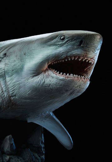 巨齿鲨 鬼颚