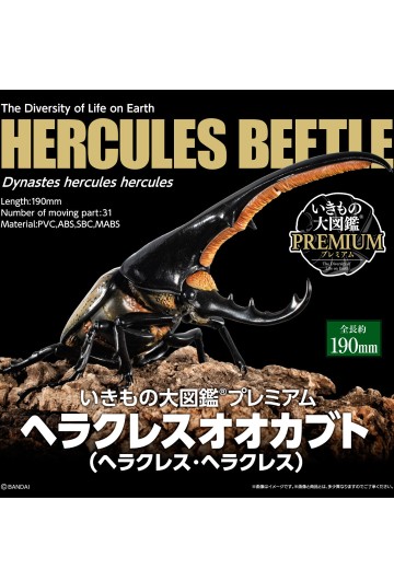 高级生物大图鉴 长戟大兜虫 | Hpoi手办维基