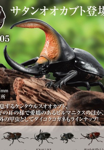 生物大图鉴 甲虫 5