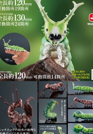 生物大图鉴 毛虫 2 | Hpoi手办维基