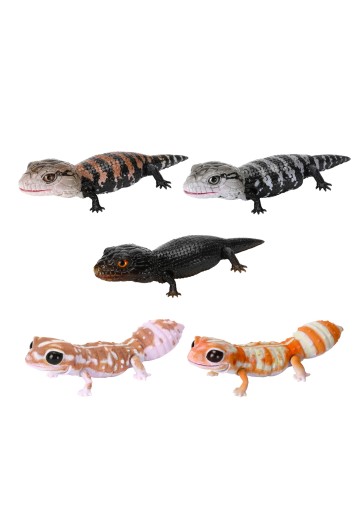 爬行生物大图鉴 蓝舌蜥 与 肥尾壁虎 | Hpoi手办维基