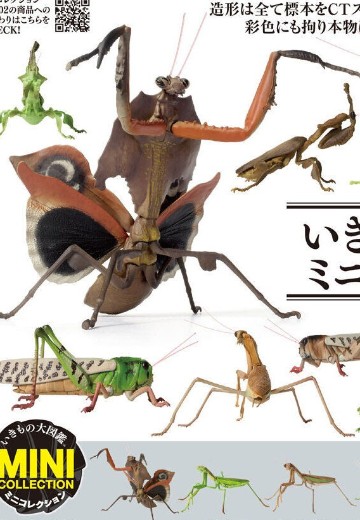 生物大图鉴 迷你系列 昆虫02 | Hpoi手办维基