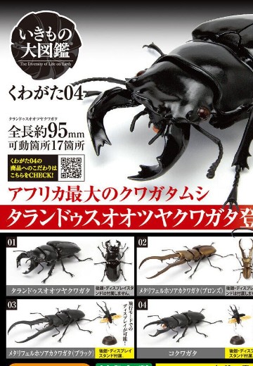 生物大图鉴 锹甲 4 | Hpoi手办维基