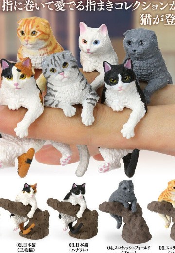 生物大图鉴 卷手指系列 猫 | Hpoi手办维基