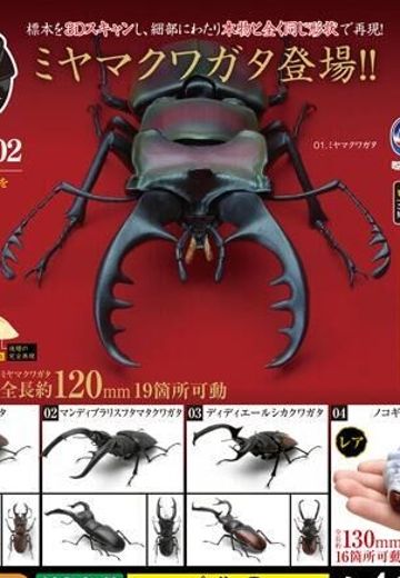 生物大图鉴 锹甲 2