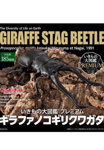 高级生物大图鉴 长颈鹿锯锹 | Hpoi手办维基