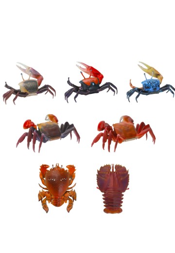 生物大图鉴 迷你系列 甲壳类 | Hpoi手办维基