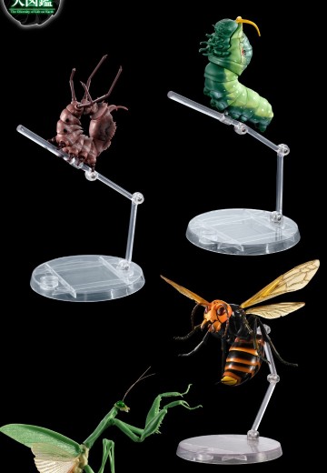 生物大图鉴专用 展示支架 标准型合集 | Hpoi手办维基