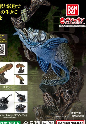 生物大图鉴 迷你系列 古代鱼2 | Hpoi手办维基