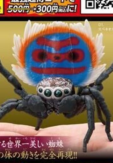 生物大图鉴 孔雀蜘蛛 | Hpoi手办维基