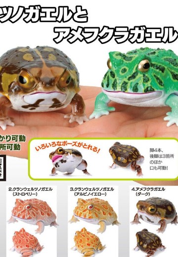 爬行类生物图鉴 角蛙 与 雨蛙 | Hpoi手办维基