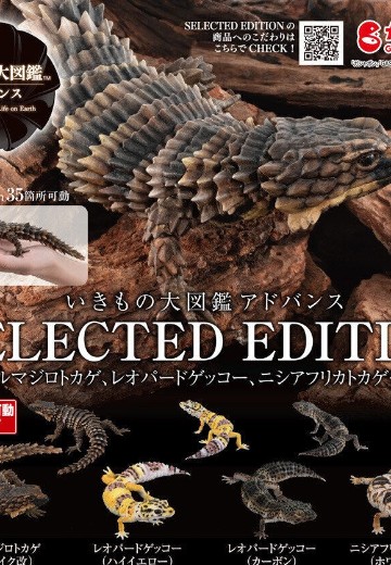 进化生物大图鉴 精选版 | Hpoi手办维基