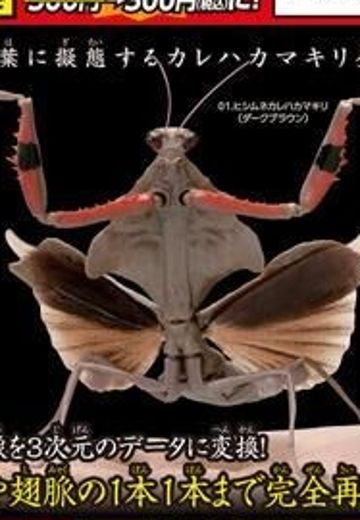 生物大图鉴 螳螂2 | Hpoi手办维基