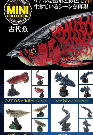 生物大图鉴 迷你系列 古代鱼 | Hpoi手办维基