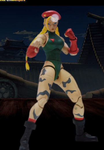 终极街霸2：最后的挑战者 嘉米·怀特