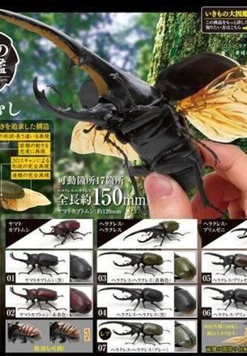 生物大图鉴 甲虫 | Hpoi手办维基