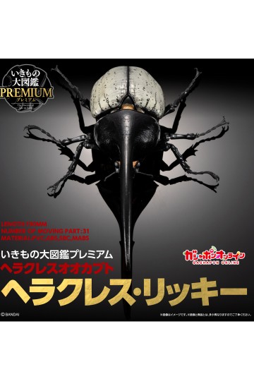 高级生物大图鉴 长戟大兜虫（利奇氏亚种） | Hpoi手办维基