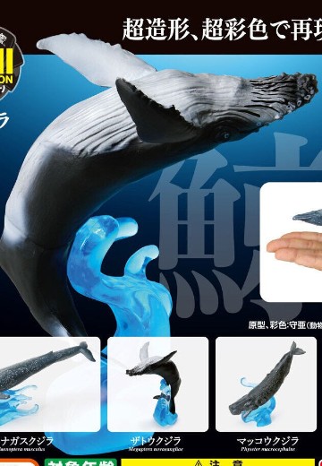 生物大图鉴 迷你系列 鲸鱼 | Hpoi手办维基