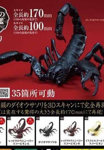 生物大图鉴 蝎子 | Hpoi手办维基