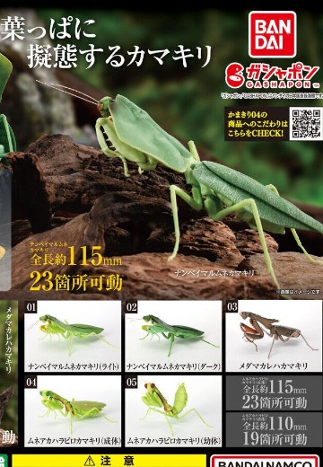 生物大图鉴 螳螂 4 | Hpoi手办维基