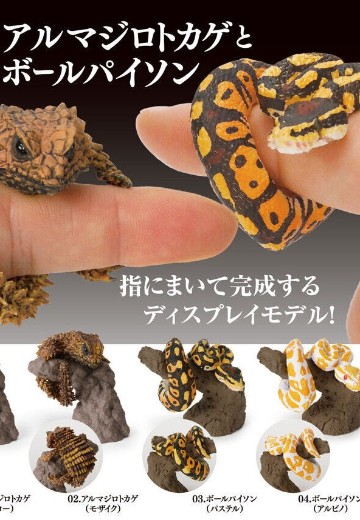 生物大图鉴 卷手指系列 犰狳蜥 与 球蟒 | Hpoi手办维基