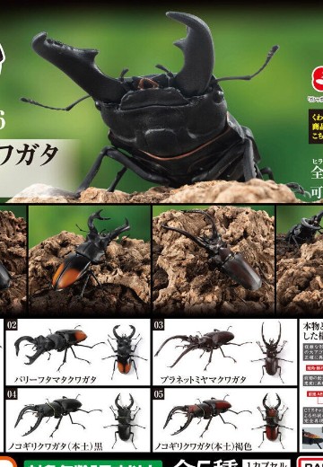 生物大图鉴 锹甲 6 | Hpoi手办维基