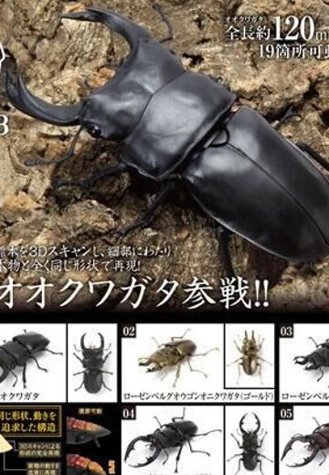 生物大图鉴 锹甲 3 | Hpoi手办维基