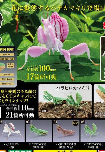 生物大图鉴 螳螂 3 | Hpoi手办维基