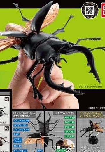 生物大图鉴 锹甲 | Hpoi手办维基