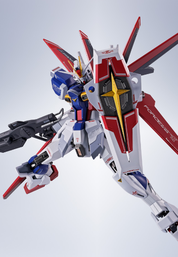 METAL ROBOT魂＜机动战士系列＞   威力型脉冲高达规格二