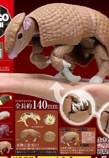 鼠妇 8 鼠妇 与 巴西三带犰狳 | Hpoi手办维基