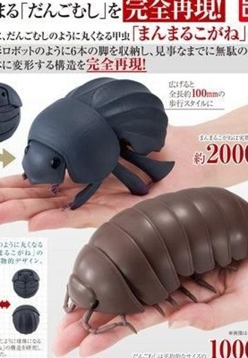 生物大图鉴 鼠妇04 鼠妇 和 球驼金龟甲 | Hpoi手办维基