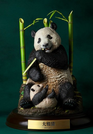 NATURE TALES 大熊猫