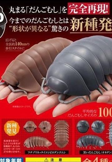 鼠妇 3 红棕古巴鼠妇篇 | Hpoi手办维基