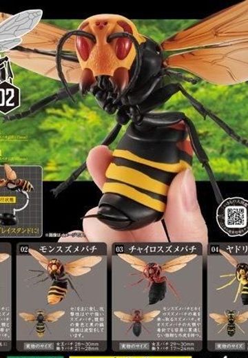 生物大图鉴 胡蜂亚种 2 | Hpoi手办维基