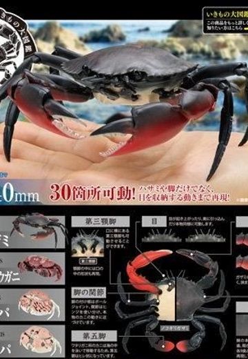 生物大图鉴 螃蟹 | Hpoi手办维基