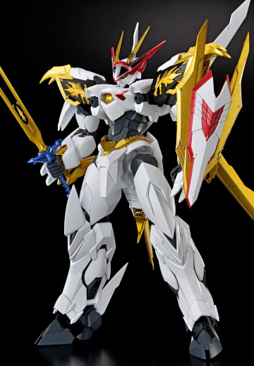 HG Amplified IMGN    龙王丸