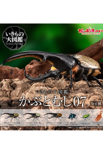 生物大图鉴 甲虫 7