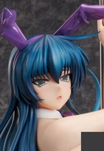 对魔忍系列 井河阿莎姬 裸腿兔女郎 限定版 | Hpoi手办维基