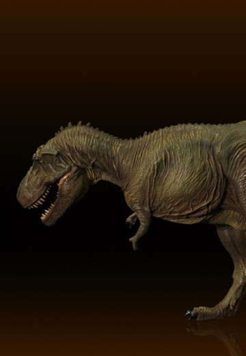 暴龙 B版 软胶套件复刻版 | Hpoi手办维基