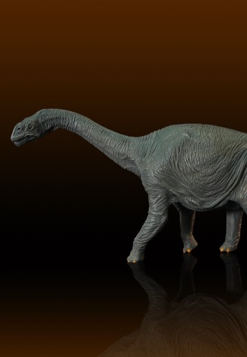 圆顶龙 软胶套件复刻版 | Hpoi手办维基