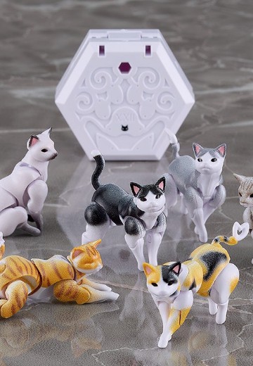 chitocerium nightmare XXII-tanio schrödinger box