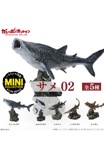 生物大图鉴 迷你系列 鲨鱼02 | Hpoi手办维基