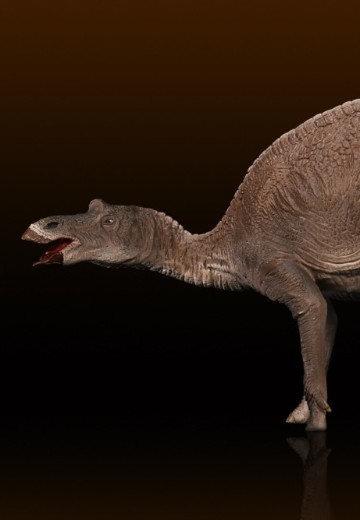 慈母龙 软胶套件复刻版 | Hpoi手办维基