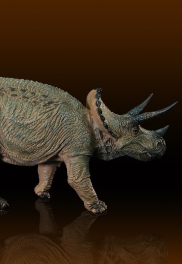 三角龙 软胶套件复刻版 | Hpoi手办维基